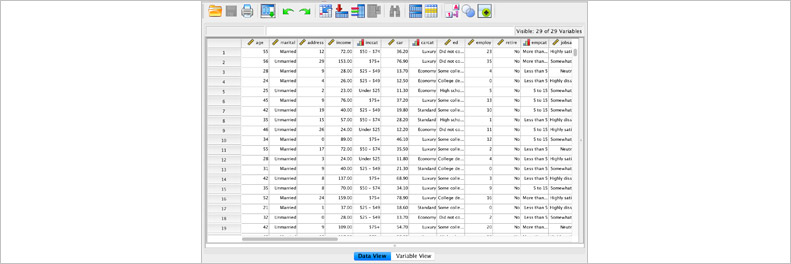 IBM SPSS Statistics data editor
