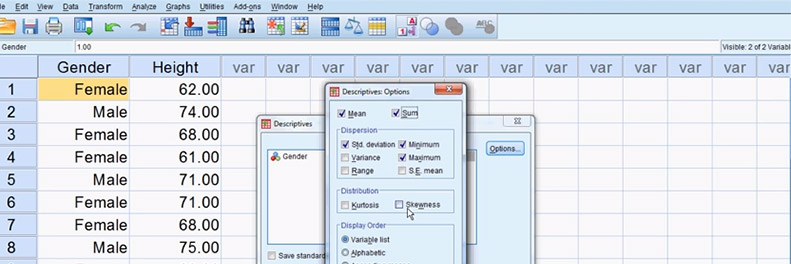 IBM SPSS Statistics popup windows, showing Descriptives, and then Descriptives Options